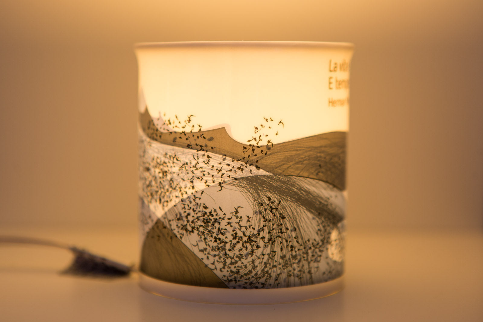 Lampada letteraria - La vita è tempesta. E tempesta sia… Herman Melville